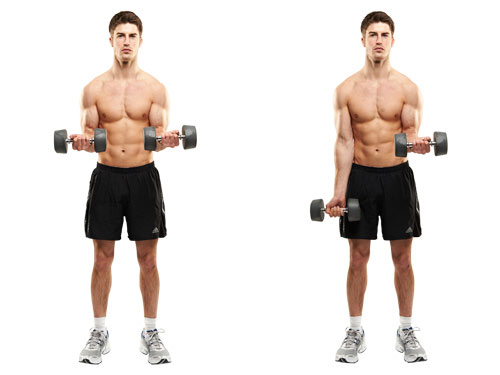 dumbbell bicep curl