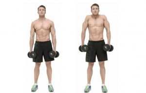 dumbbell-shrug