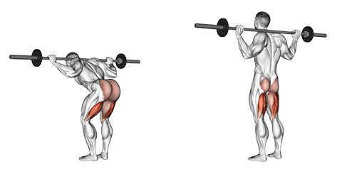 barbell goodmorning