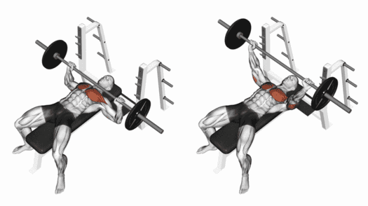 Barbell bench press