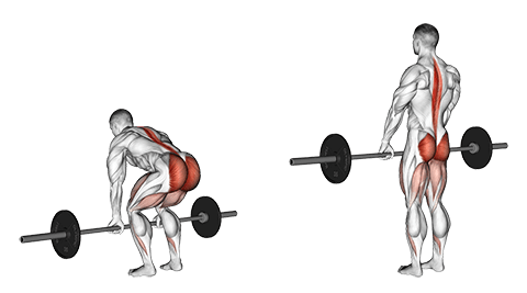 barbell deadlift