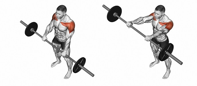 barbell front raises