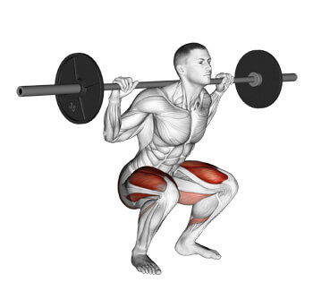 barbell squat