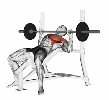 Incline bench press